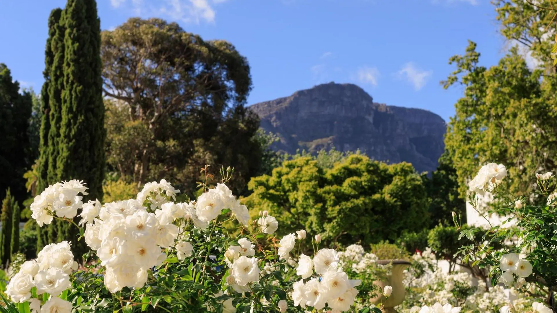 The Cellars-Hohenort Hotel Cape Town